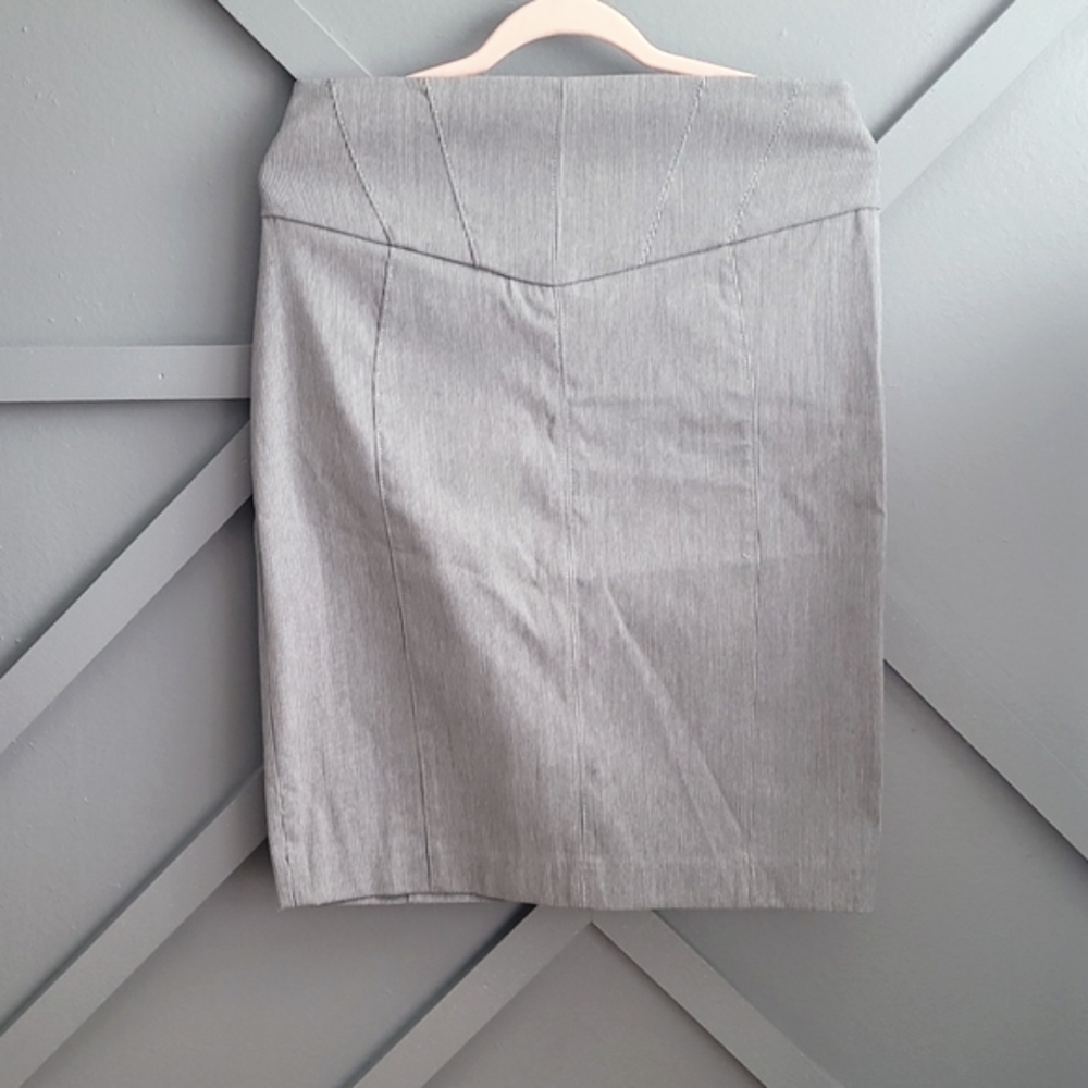 Express Skirt